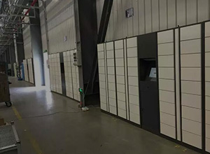 企業倉庫電子儲物柜管理柜